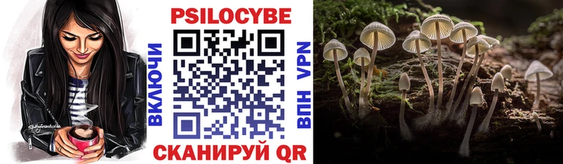 наркотики  мега зеркало  Псилоцибиновые грибы Magic Shrooms  Александровск-Сахалинский 